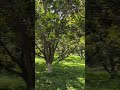 #world #greenery #fresh #touristplace #green #worldtoday #worldwide #wirldtour