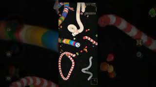 Muhammad Alsheikh New Song,, Snake Video