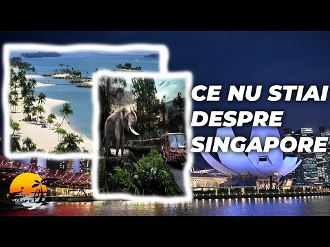 Video: 8 Cartierele din Singapore care trebuie vizitate