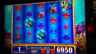 ~*Dashing Dolphins WMS Slot *SWEET BONUS WIN*@ ¢.80 cent bet~*Gamer Couple Alliance*~Chumash Casino