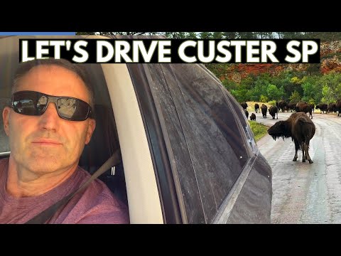 Video: Was ist im Custer State Park?