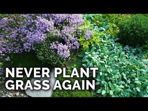 Video: West North Central Lawns – Lawn Alternatives In Northern Plains