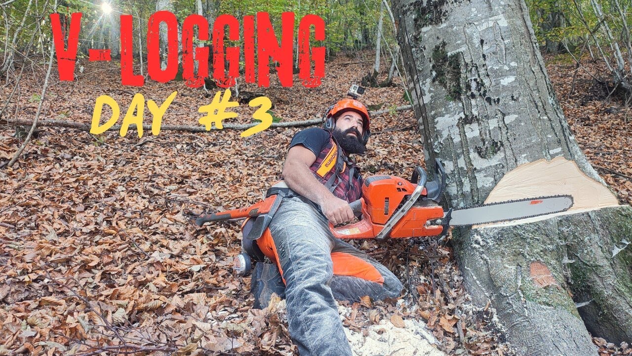 Ρίψη - Τεμαχισμός - Σκίσιμο Δέντρου _ AXEHOLE LOGGER _ #husqvarna #logging #asmr #satisfying