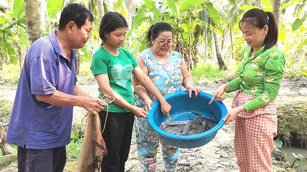 Thấy Phát Ham Khi Gia Đình Ra Vườn Chài Cá Chỉ Quăng Một Chài Là Ăn Tới Ngày Mai | BQCM & Family
