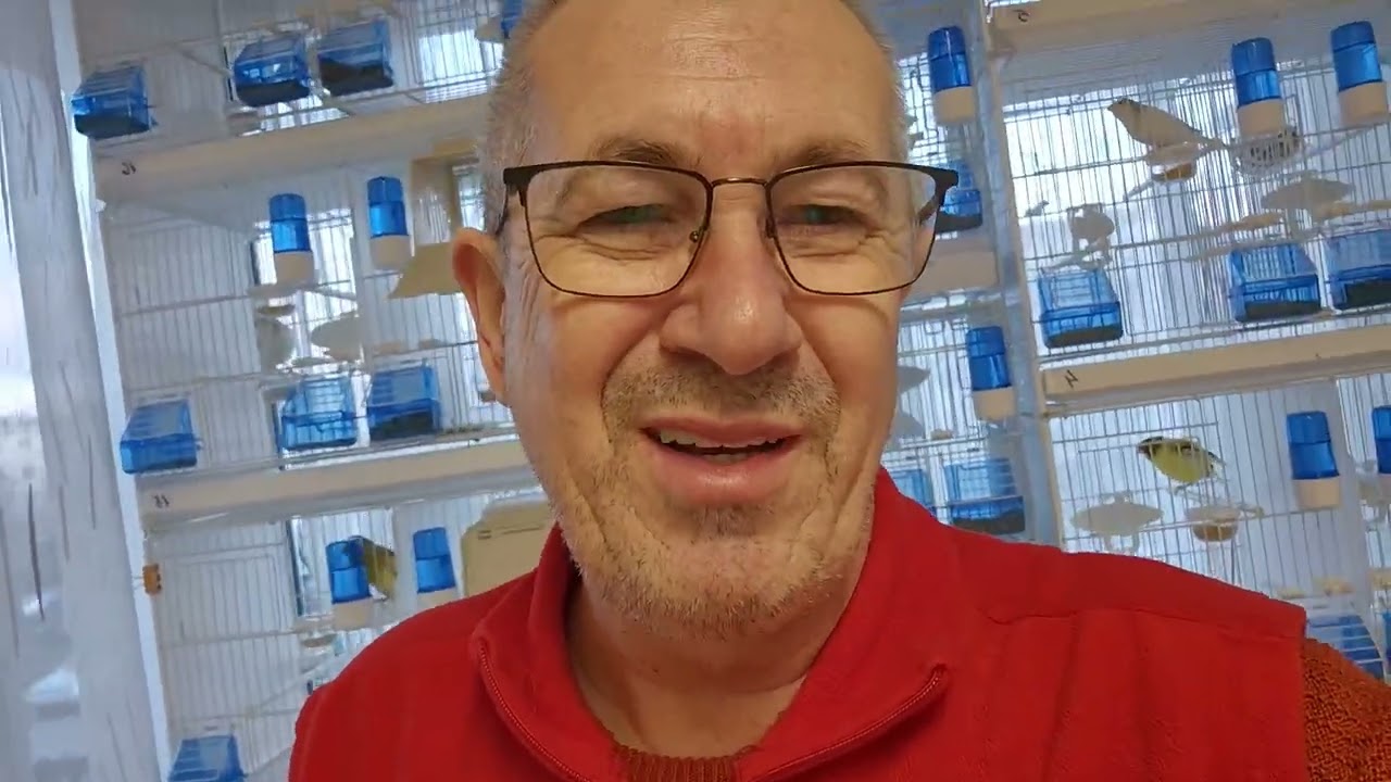 Ce suplimente folosim?