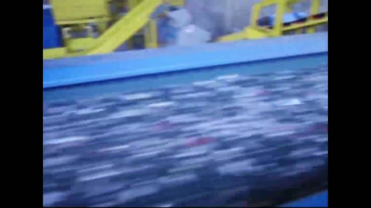 GAUSS MAGNETI - Separatore a correnti parassite - Eddy current separator