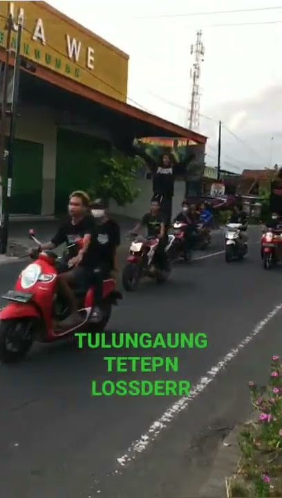 #storywa .. Pagar Nusa Tulungagung