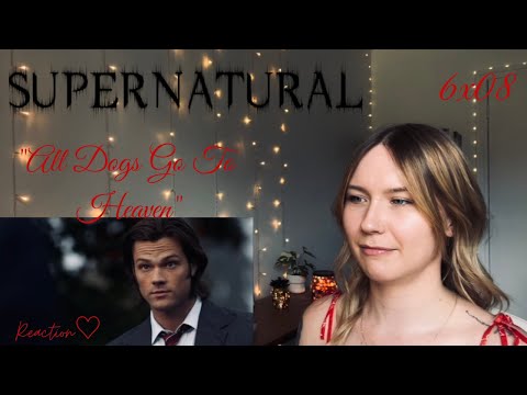 Supernatural S06E08 - "All Dogs Go To Heaven" Reaction
