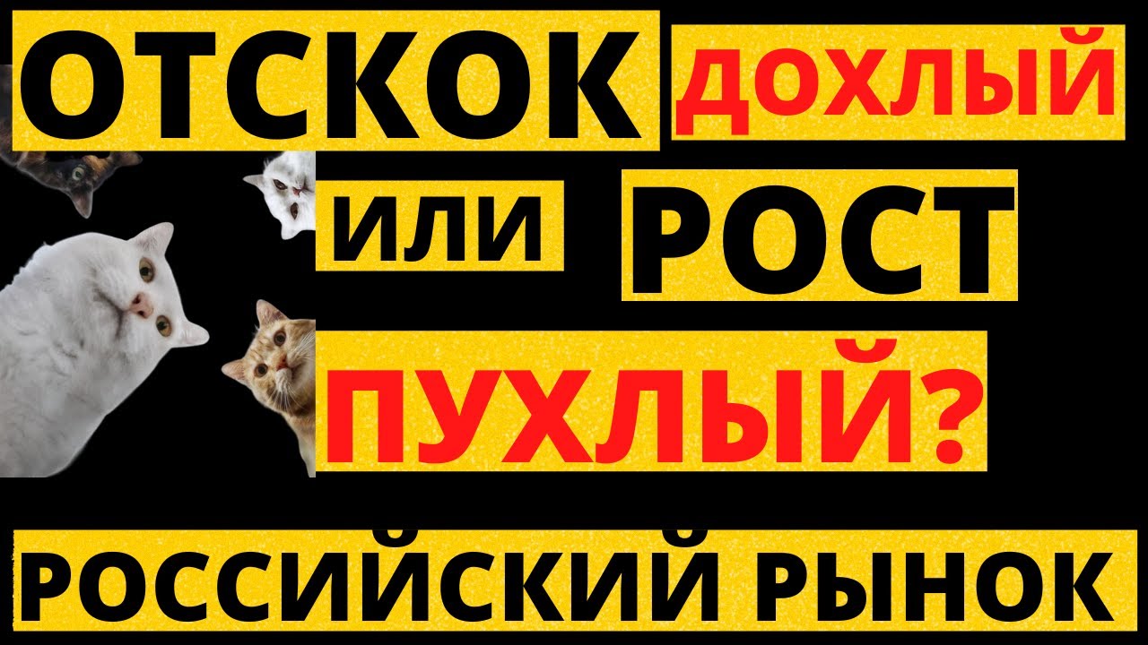 Рынок БЕШЕНО растет! Какого происходит? ЧТО КУПИТЬ? - YouTube