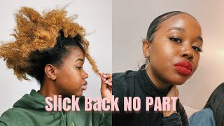 Slick Back Ponytail with No Part [Thick Hair, Short Hair and Beginner Friendly] Liyah Moore