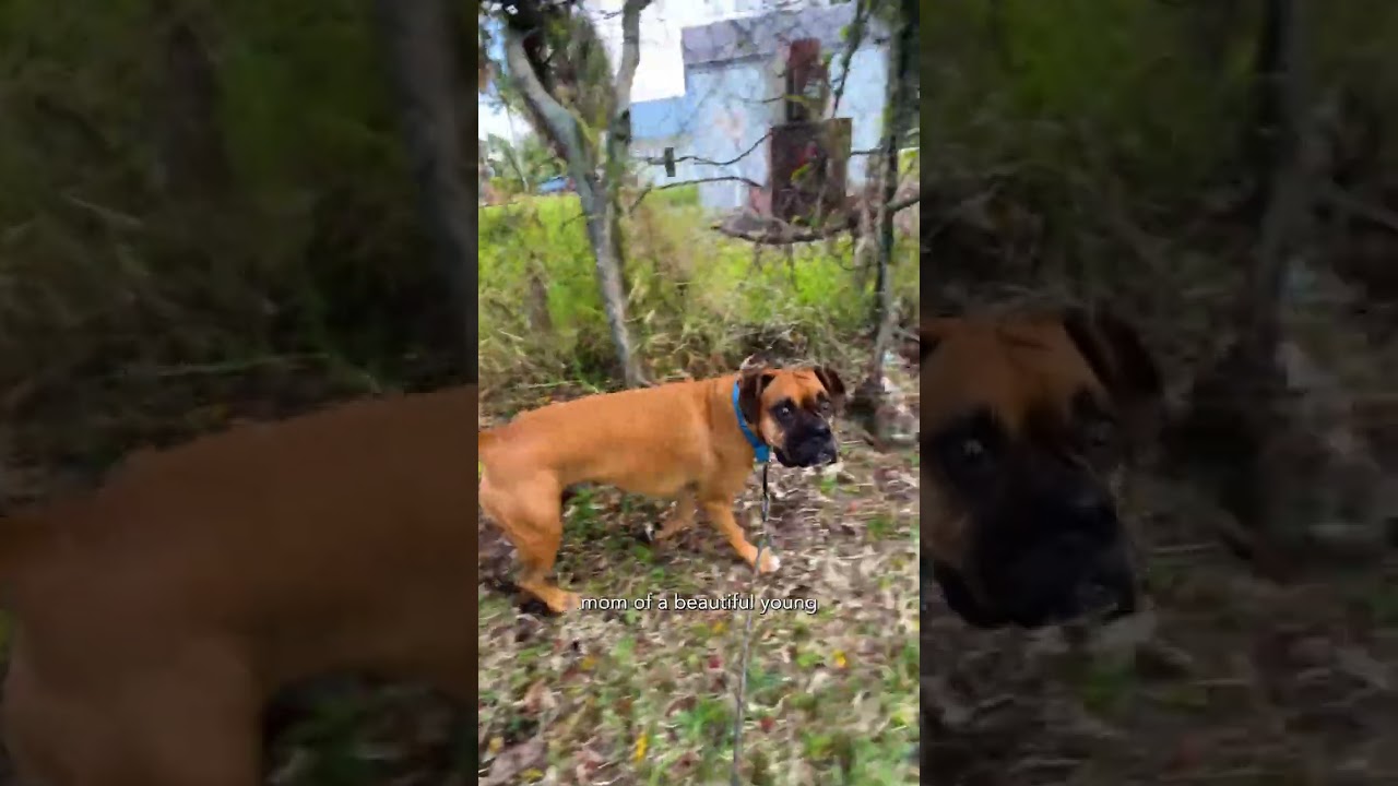 Who Is Karin The Barefoot Realtor | Corcoran [Rolla]