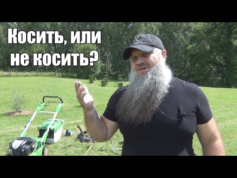 Косить, или не косить траву на своём участке?