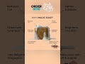 GHAR SOAPS Sandalwood &amp; Saffron Magic Bath Soap, 300 grams #soap #sandalwood #magic #bathroom #clean