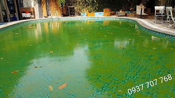Xử lý rong rêu hồ bơi !!! Clean the green pool !!!