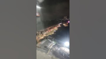 Timelapse video | Bird