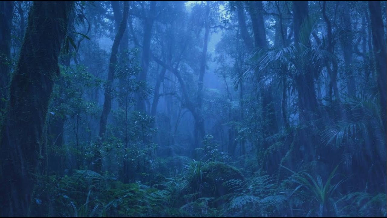 🌧️ Super Calming Heavy Rain in a Cozy Night for Instant Deep Sleep & Insomnia Relief ASMR 😴