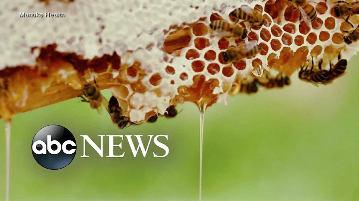 The buzz about super-food Manuka honey