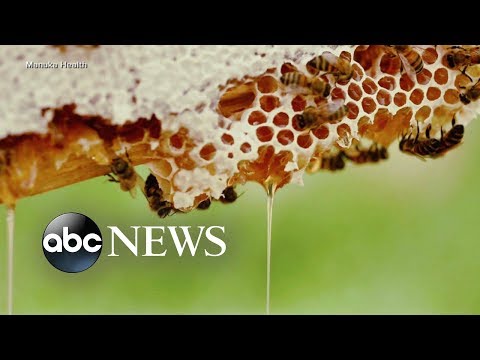 Video: The Buzz: Is Manuka Honey Really A Magical Cure-All?