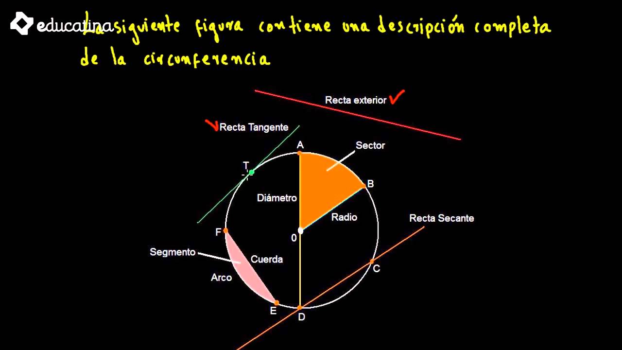 Ángulo y elementos de una circunferencia YouTube