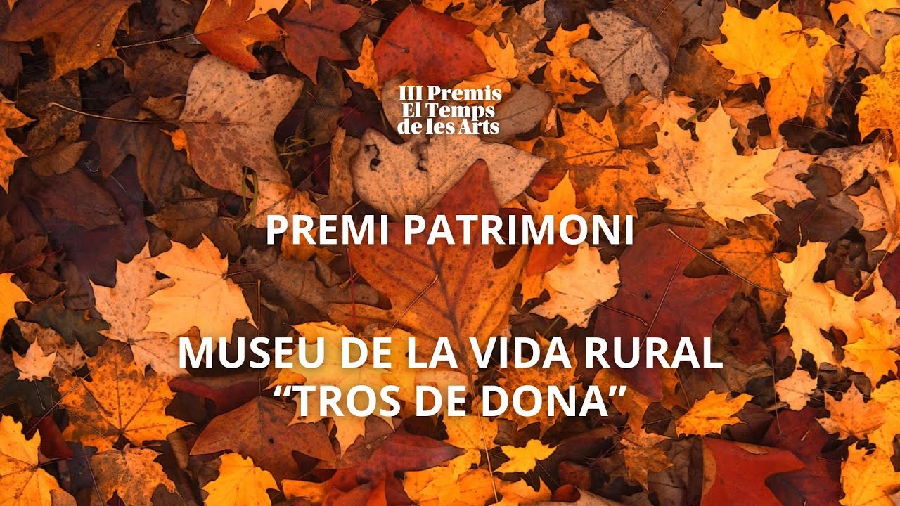 Entrevista Premi Patrimoni dels III Premis El Temps de les Arts