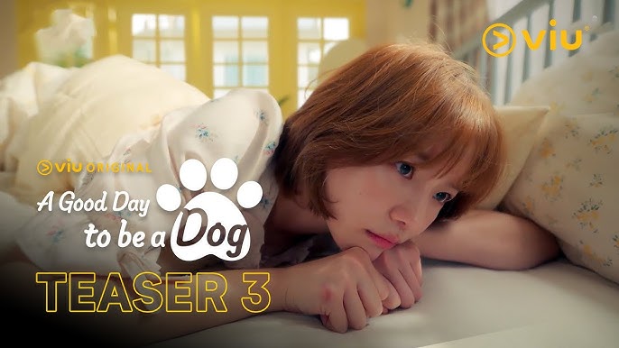 A Good Day to Be a Dog Episode 8 Trailer: A Trap Awaits for Cha Eun-Woo,  Park Gyu-Young