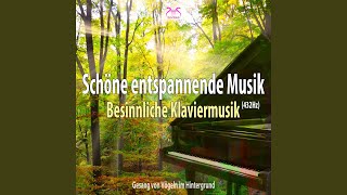 Liebe: Schöne und besinnliche Klaviermusik (mit Naturgeräuschen)