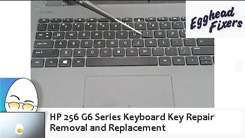 HP 256 G6 Series Keyboard Key Repair - Removal and Replacement