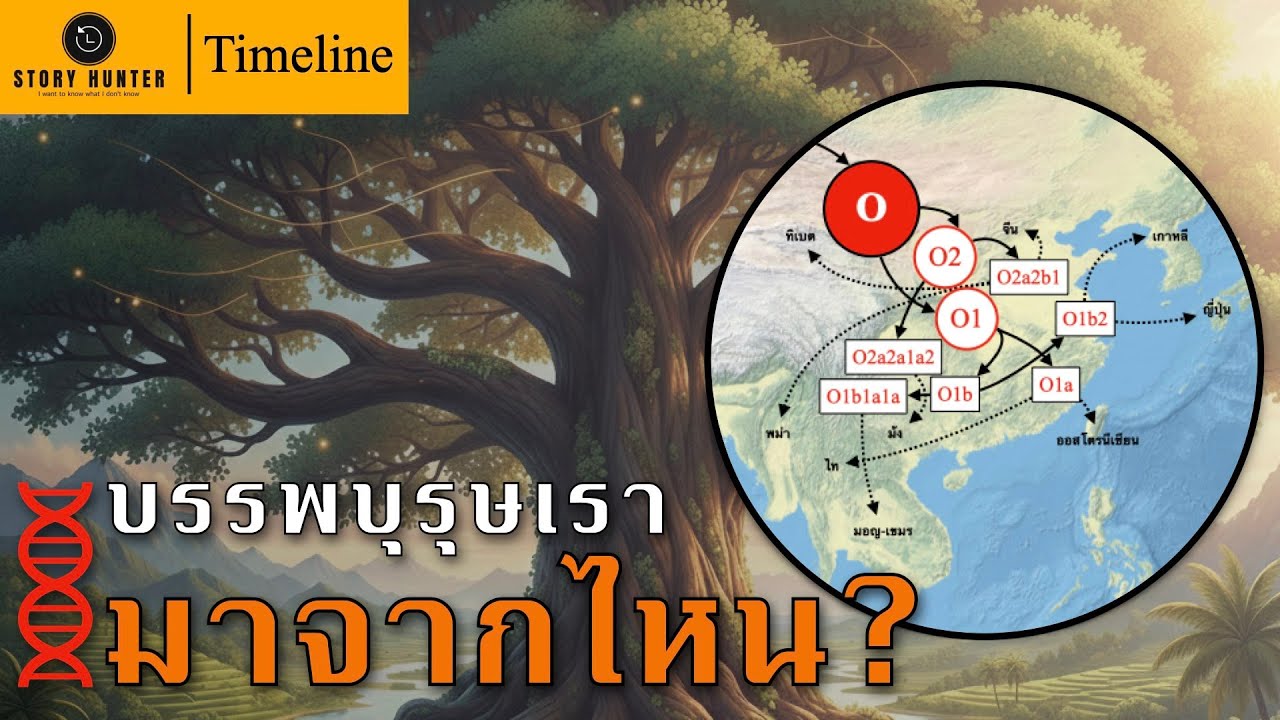 Timeline | Haplogroup O: รากพันธุกรรมจากจีนตอนใต้สู่อุษาคเนย์