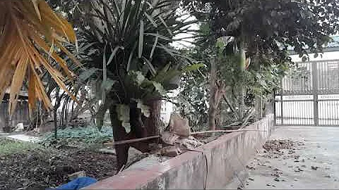 Convex Analysis and Variational Inequalities teaching and teacher education