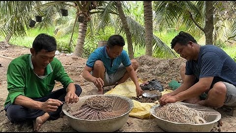 Bài Mồi 0 Đồng Đường Câu Hôm Nay Trúng Tới Công Chuyện Luôn Rồi | Cù Lao Dung Vlogs