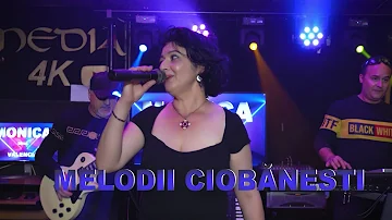 █▬█ █ ▀█▀ 2021-MELODII CIOBANESTI- MONICA DE LA VALENCIA-MIHAI COSEREA,VIOREL DINCU, DANIEL NEGRICEA