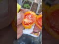 طماطم برتقاليه 