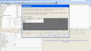 In the Customers table insert a new field named Sex, in Number data type and byte field size....