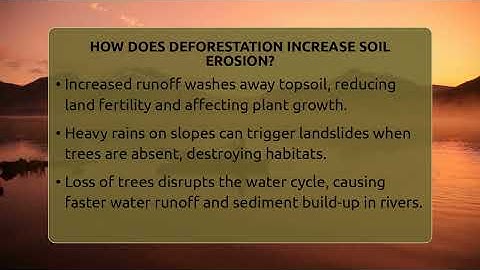 How Does Deforestation Increase Soil Erosion? - Ecosystem Essentials