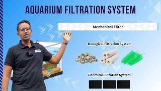 Understanding Aquarium Filtration: Biological, Chemical, and Mechanical Filters Explained