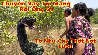 Xuất Hiện “Rắn Mãng Xà” To Như Thân Cây Khiến Dân Làng Tá Hoả Bỏ Chạy