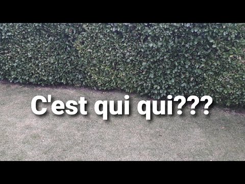 Vídeo: Què vol dir quan l’embragatge està fluix?