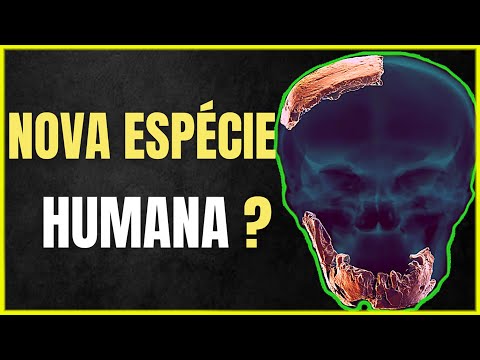 Vídeo: Arqueólogos Encontraram Crânios De Ancestrais Humanos Até Então Desconhecidos - Visão Alternativa