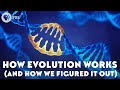 How evolution works and how we figured it out