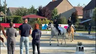 0b997371-150b-4142-8642-fed8d3166e8d.mp4