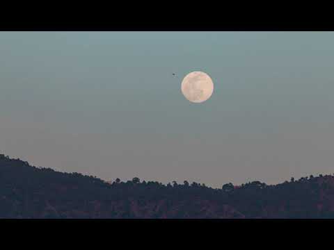 Video: Hvornår Er Pink Moon, Og Hvordan Man Ser Det