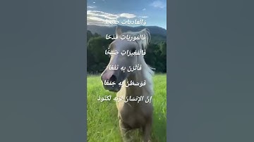 القران الكريم بصوت// الشيخ احمد العجمي 🎧 اكتب شيء تؤجر عليه