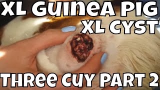 Three Cuy Part 2
