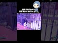 世界平和のために害悪車だけ消滅させてきた#フォートナイト #fortnite