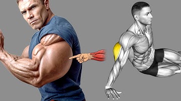 9 Triceps Exercises to Get Huge Arms in Record Time