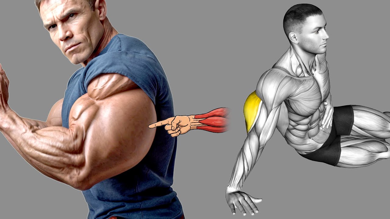 9 Triceps Exercises to Get Huge Arms in Record Time - YouTube