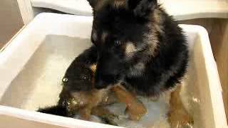 20100525セレお風呂.flv