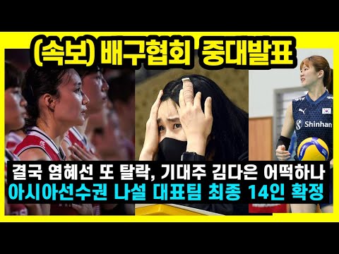   여자배구 배구협회 중대발표 결국 염혜선 또 탈락 기대주 김다은 어떡하나 아시아선수권 나설 대표팀 최종 14인 확정 2023년 8월 25일