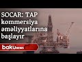 SOCAR: TAP kommersiya əməliyyatlarına başlayır