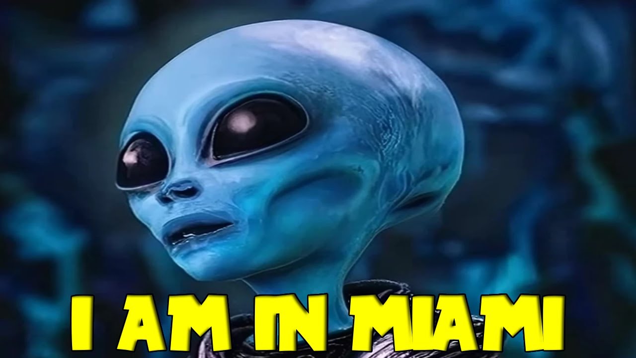 ALIENS in Miami ( New footage and final thought ) - YouTube